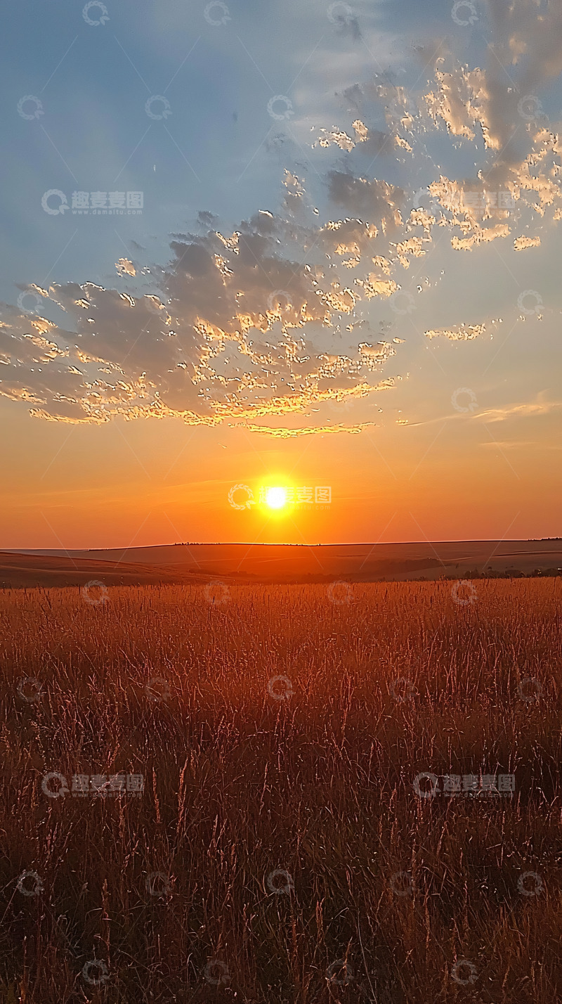 高清大图下载【趣麦麦图】夕阳下的麦田