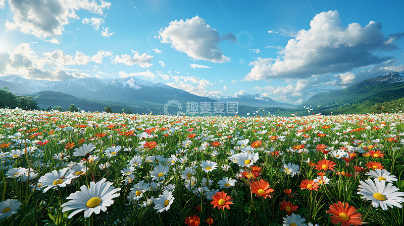 高清大图下载【趣麦麦图】阳光明媚花海山景