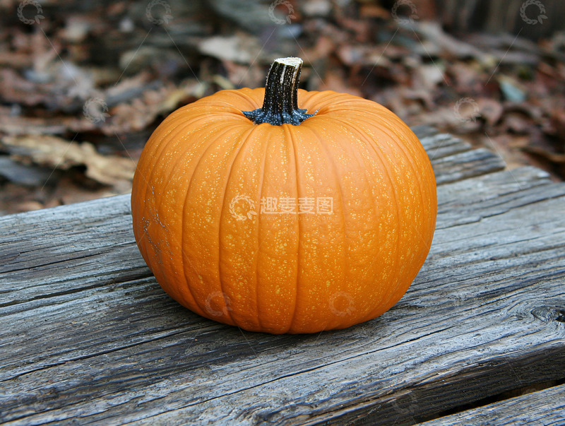 高清大图下载【趣麦麦图】木板上的单个南瓜