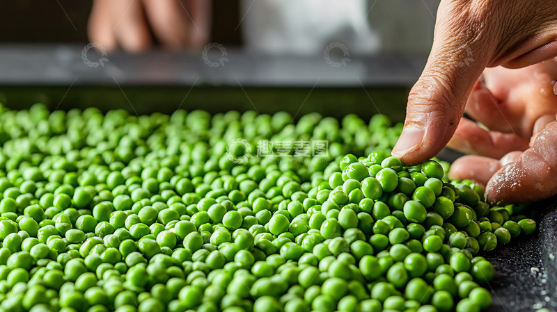 高清大图下载【趣麦麦图】新鲜豌豆特写