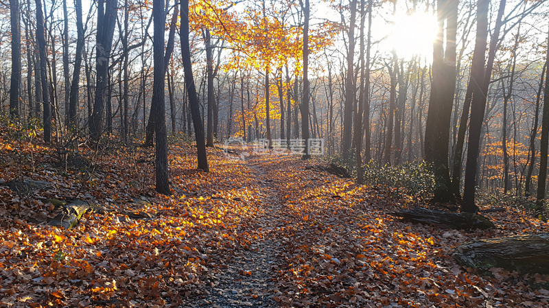 高清大图下载【趣麦麦图】秋日森林小路