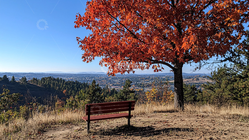 高清大图下载【趣麦麦图】秋日红叶下的长椅