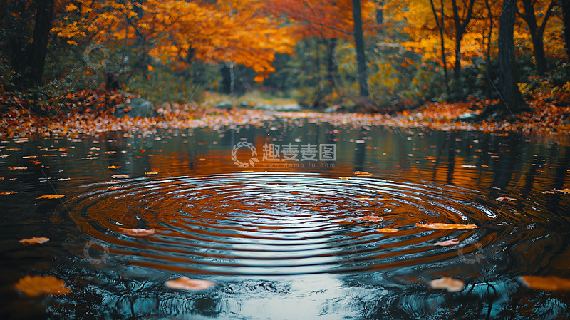 高清大图下载【趣麦麦图】秋天森林中的宁静池塘