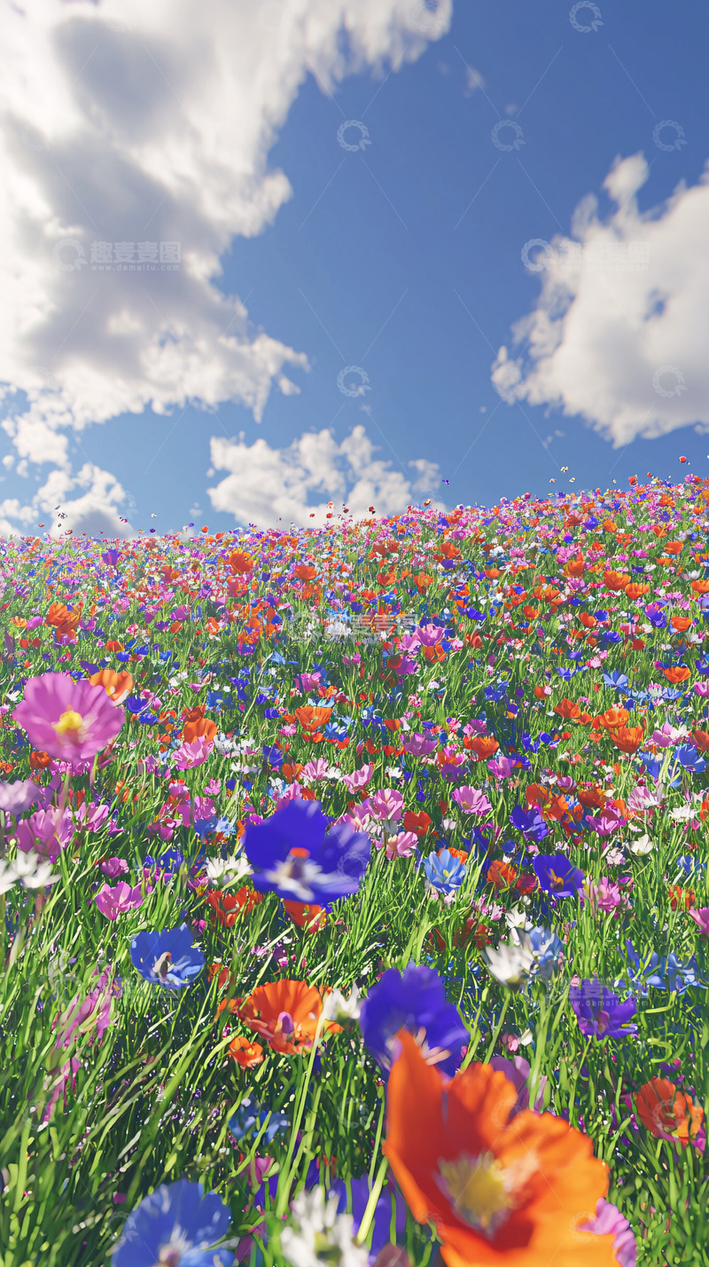 高清大图下载【趣麦麦图】彩色花海