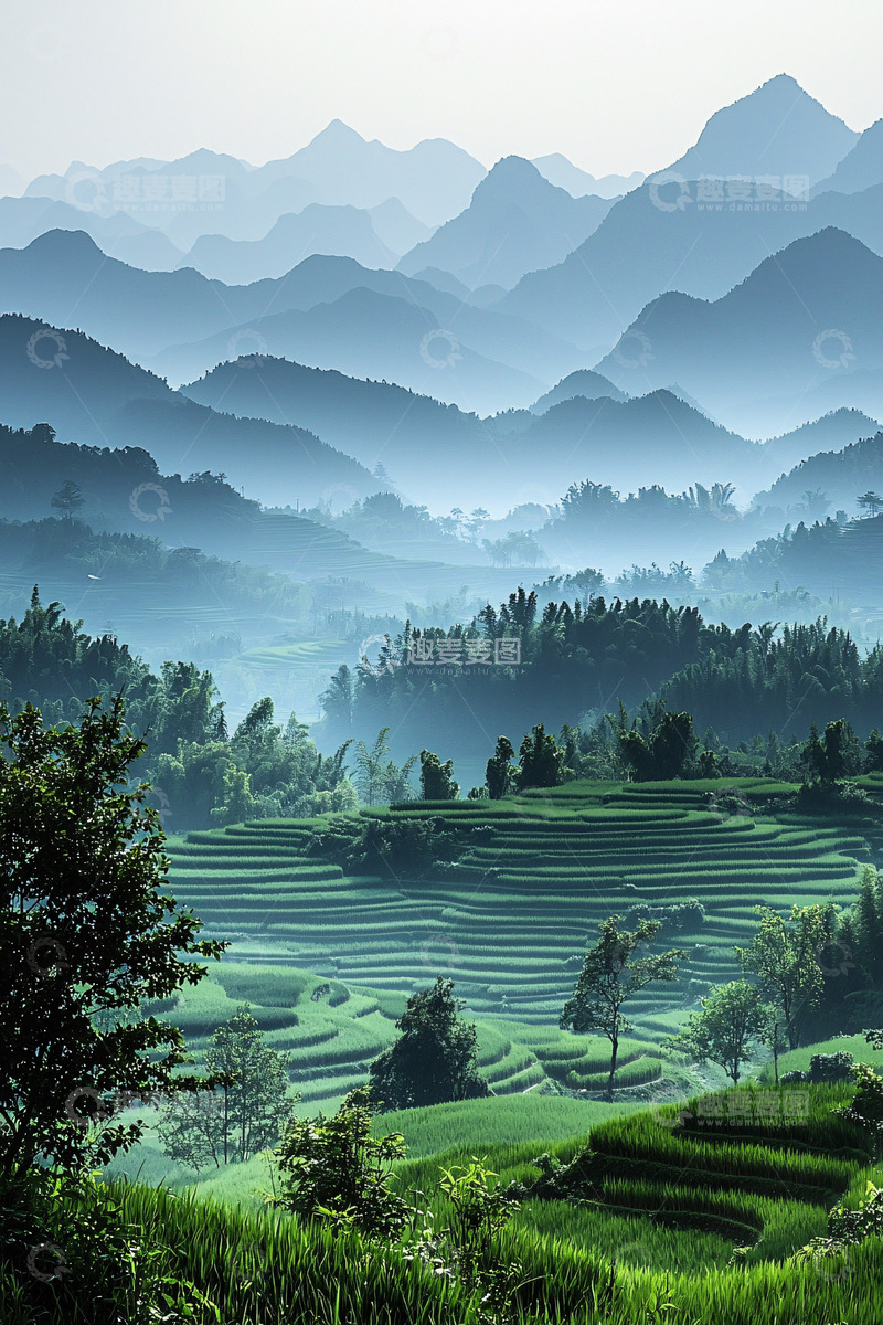 高清大图下载【趣麦麦图】层层梯田梦幻蓝山