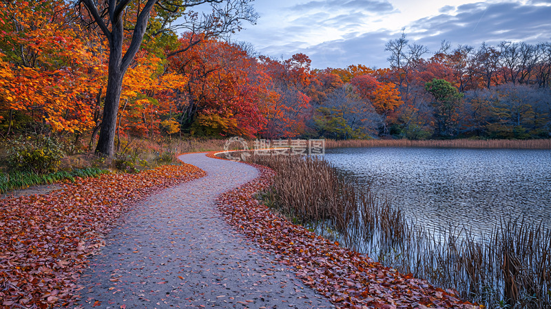 高清大图下载【趣麦麦图】秋日湖边蜿蜒小路
