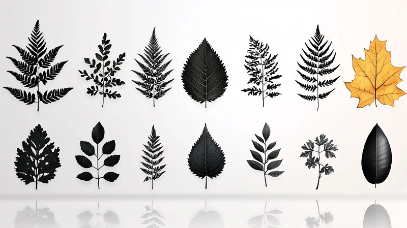 黑色剪影叶子素材