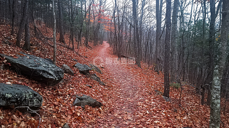 高清大图下载【趣麦麦图】秋日山林小路