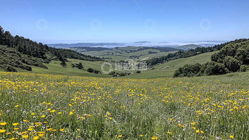 高清大图下载【趣麦麦图】广阔的草地和远山