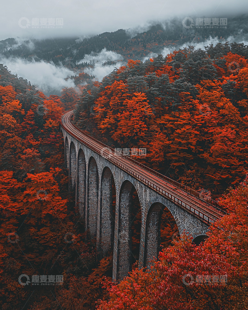 高清大图下载【趣麦麦图】秋日森林中的高架桥