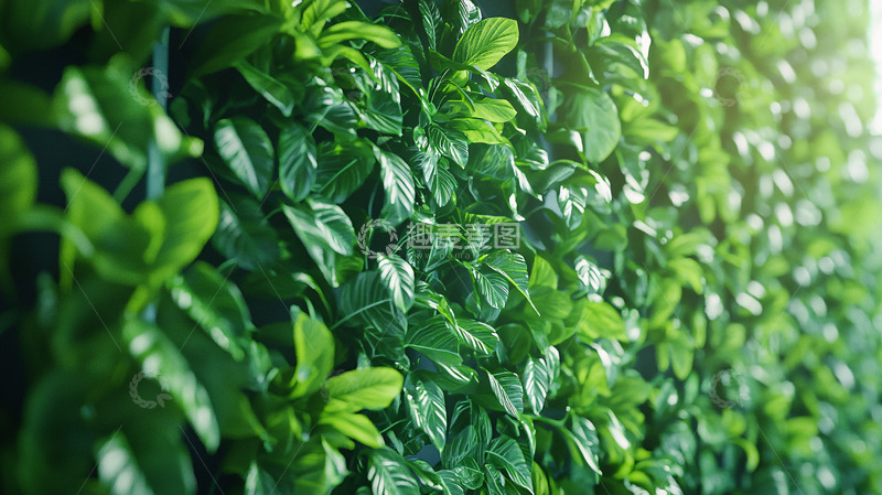 高清大图下载【趣麦麦图】绿叶背景墙