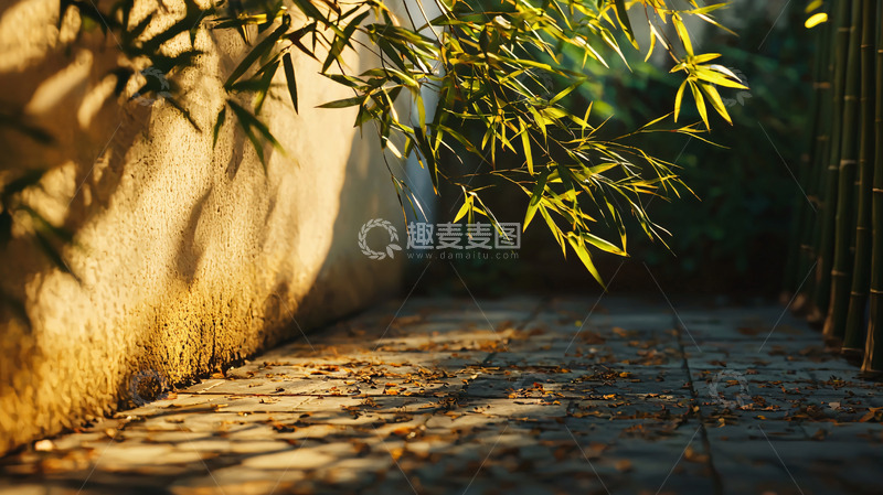 高清大图下载【趣麦麦图】阳光洒落石板路