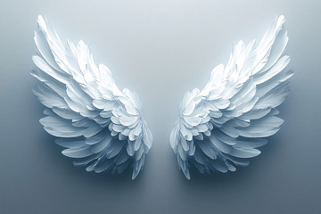 白色天使翅膀