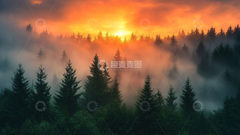 高清大图下载【趣麦麦图】雾气森林日出