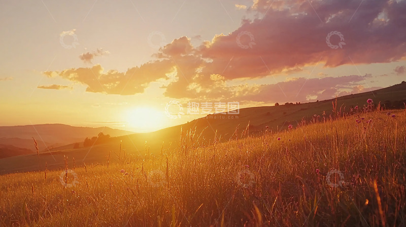 高清大图下载【趣麦麦图】金色麦田夕阳7