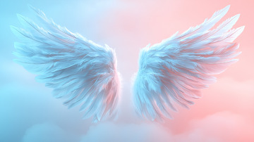 唯美梦幻天使翅膀