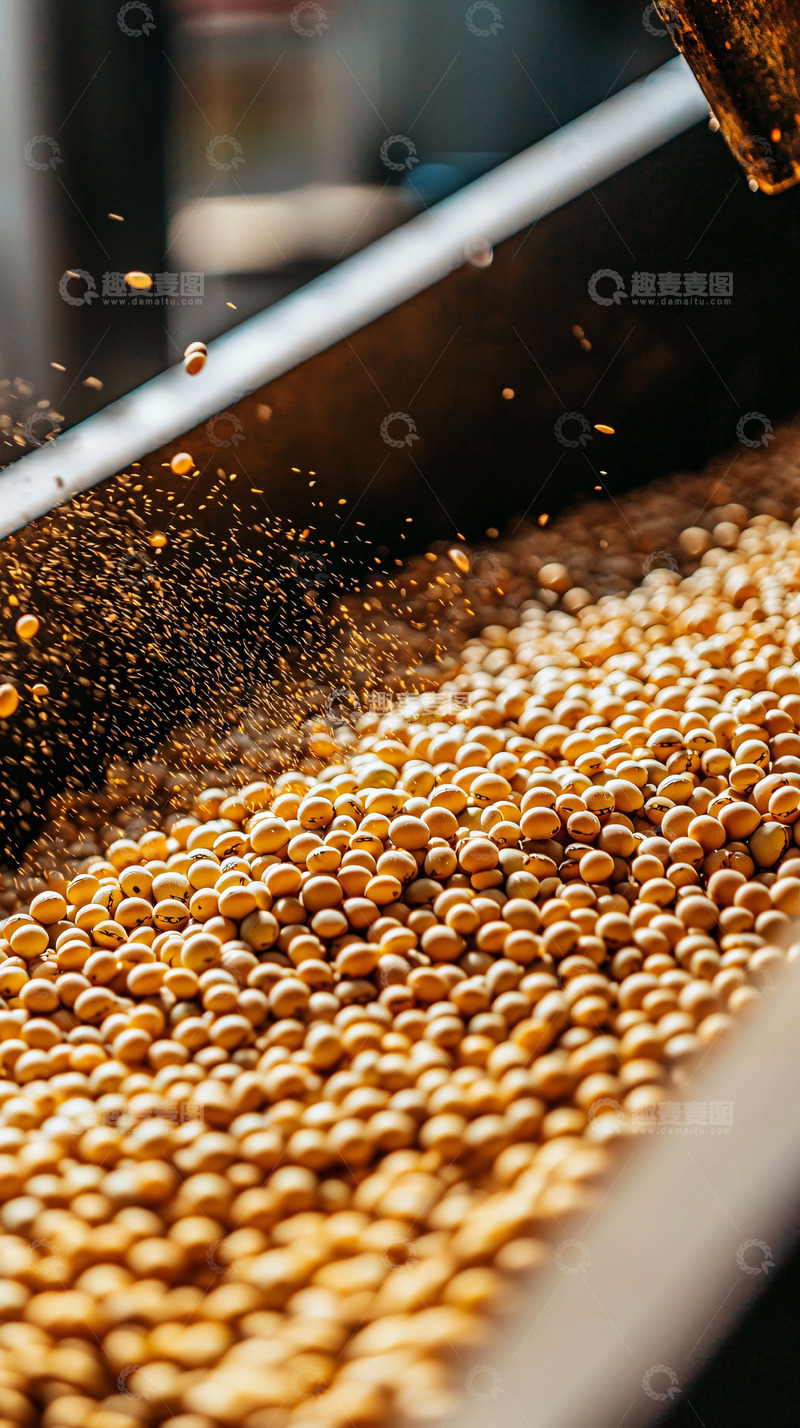 高清大图下载【趣麦麦图】大豆加工