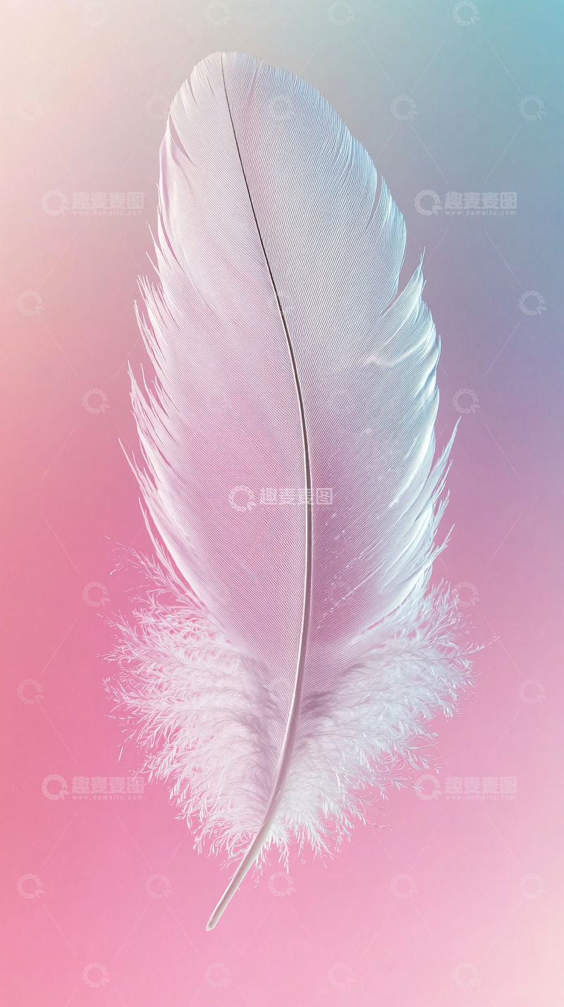 高清大图下载【趣麦麦图】粉色背景下的一根白色羽毛