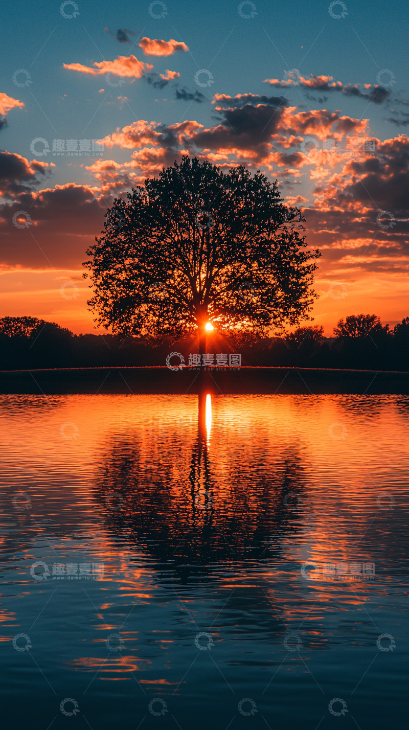 高清大图下载【趣麦麦图】湖面日落树的剪影