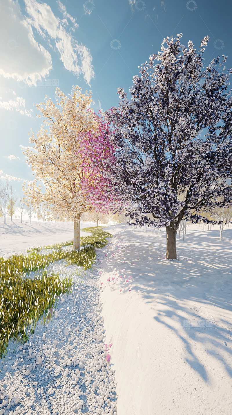 高清大图下载【趣麦麦图】四季树木