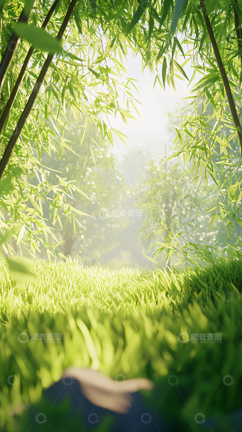 高清大图下载【趣麦麦图】阳光透过竹林洒向草地