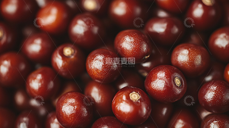 高清大图下载【趣麦麦图】红褐色圆形小颗粒