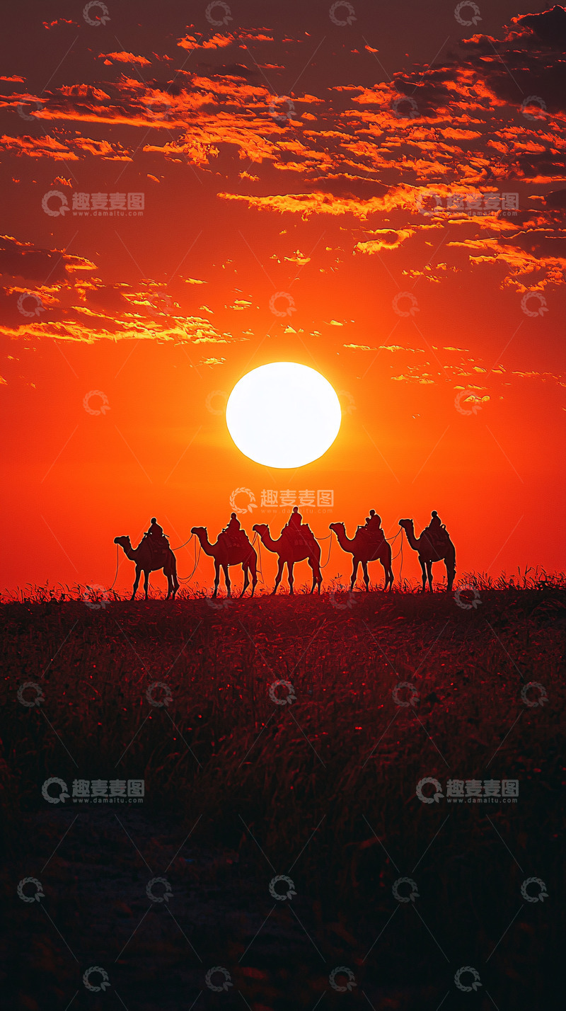 高清大图下载【趣麦麦图】夕阳下骆驼商队剪影