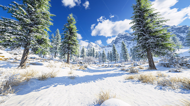 高清大图下载【趣麦麦图】雪山松林冬季景色