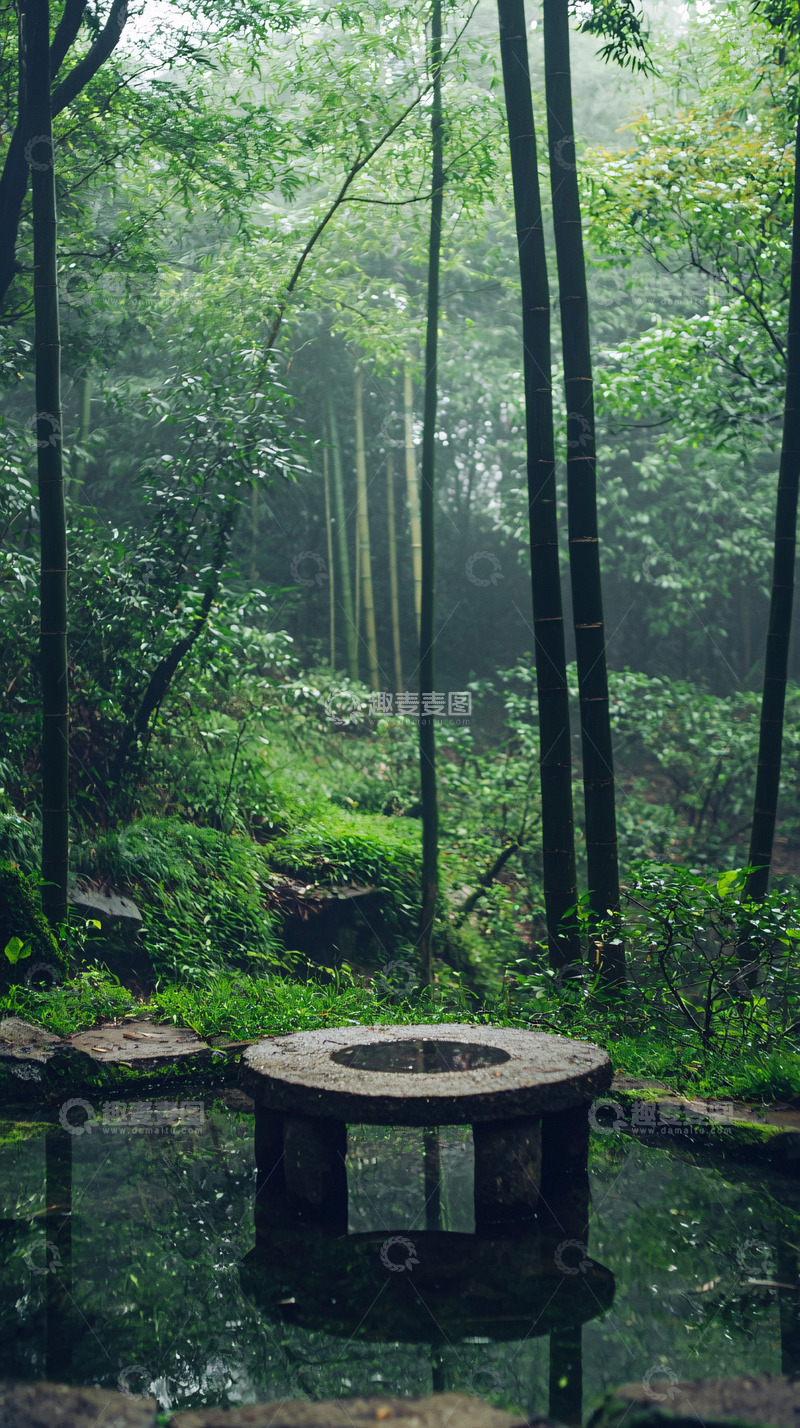 高清大图下载【趣麦麦图】雾气朦胧的竹林古井