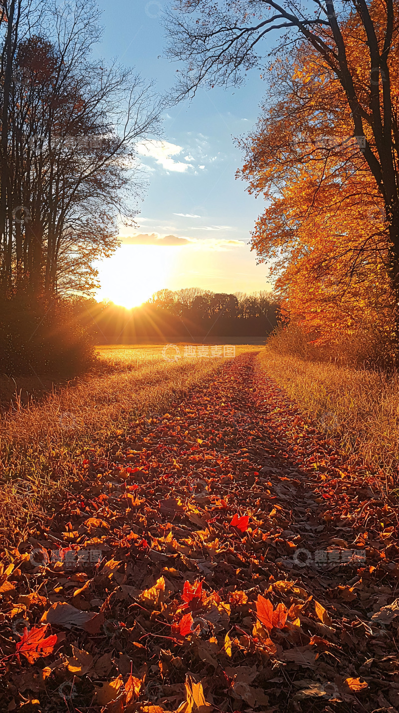 高清大图下载【趣麦麦图】秋日清晨阳光洒落田野小路
