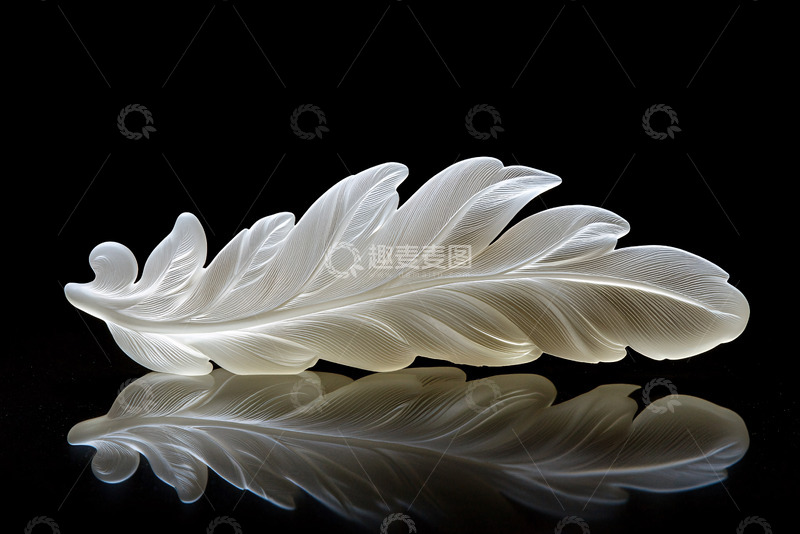 高清大图下载【趣麦麦图】白色透明羽毛