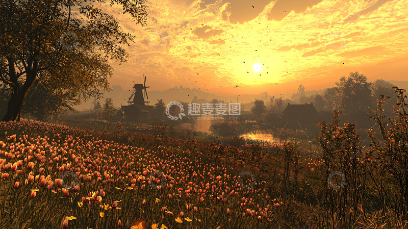 高清大图下载【趣麦麦图】金色的田野与风车夕阳