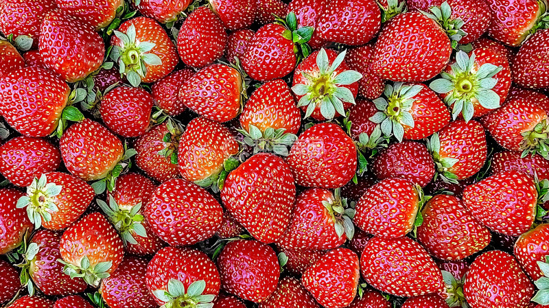 高清大图下载【趣麦麦图】新鲜红草莓堆积如山