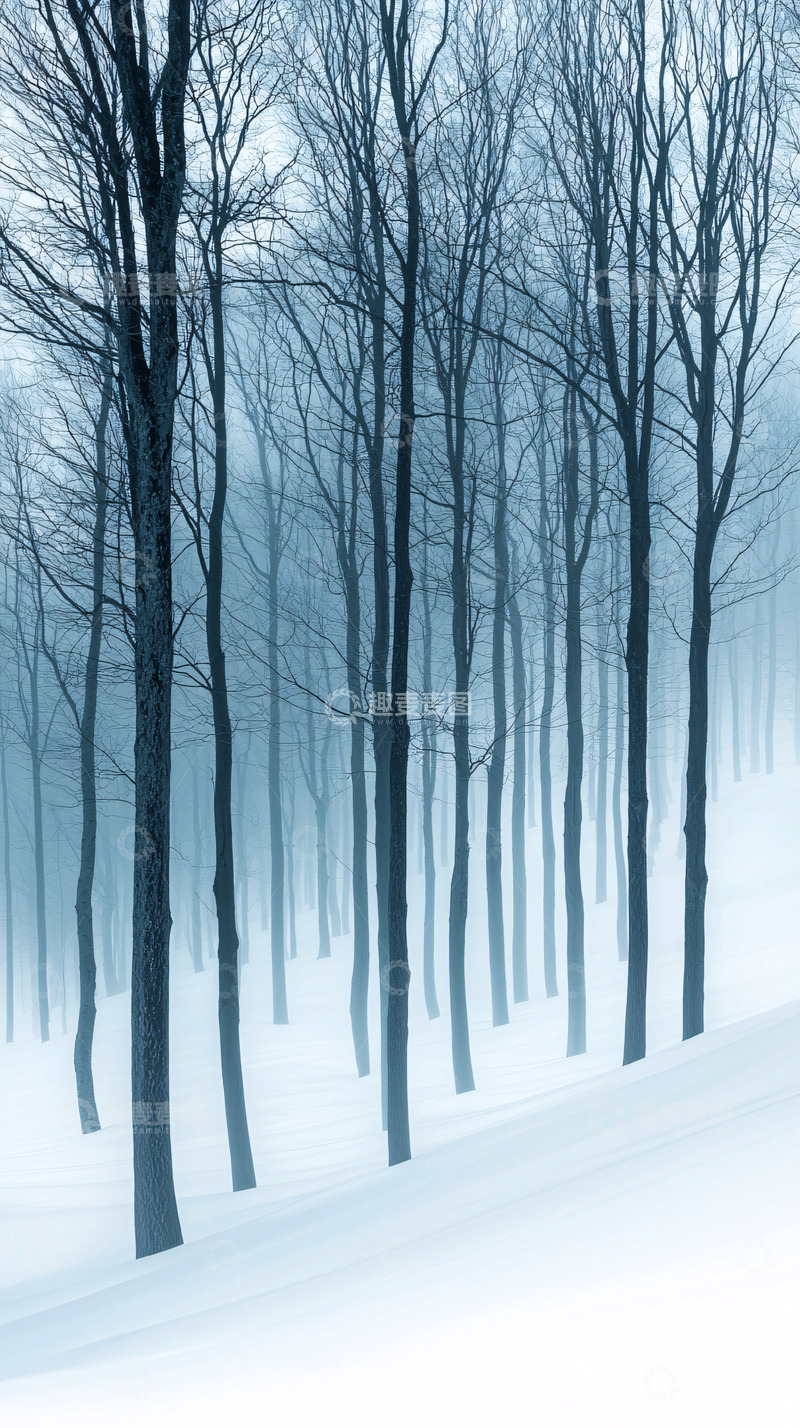 高清大图下载【趣麦麦图】雾凇森林