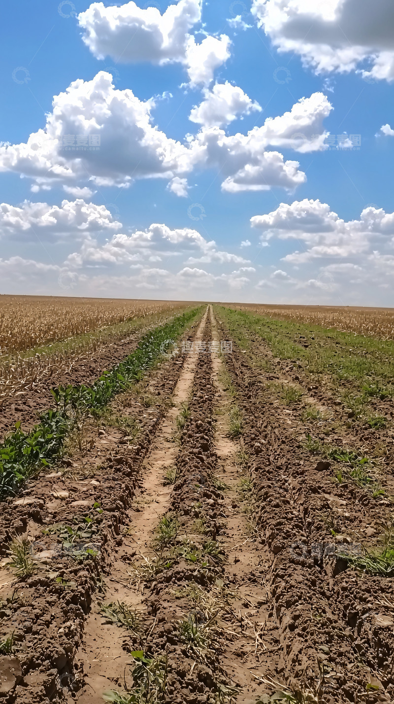 高清大图下载【趣麦麦图】田间小路通向蓝天白云
