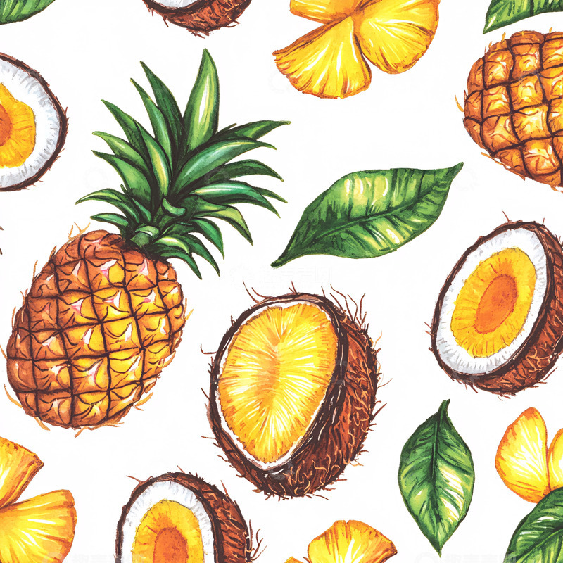 高清大图下载【趣麦麦图】菠萝椰子水彩手绘图案