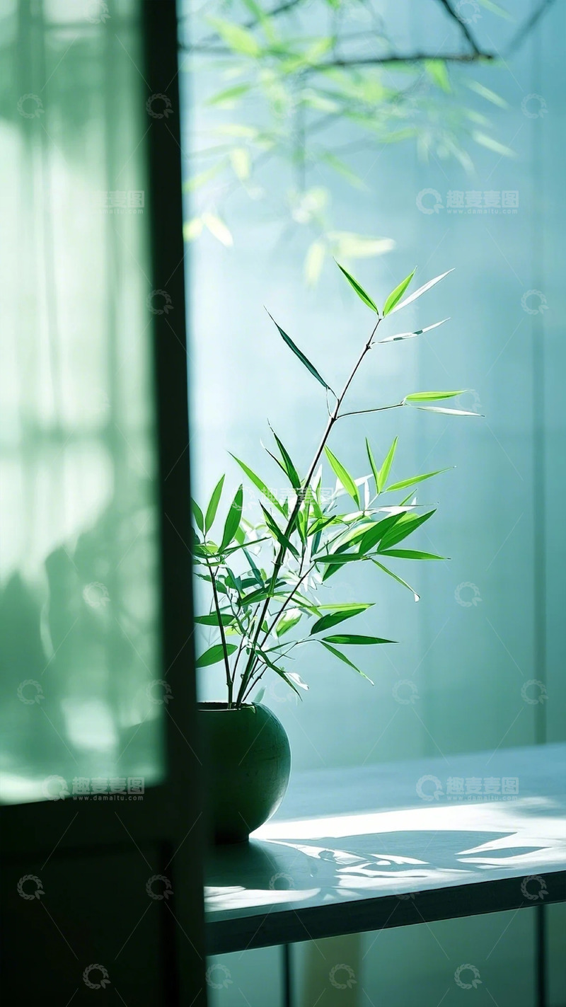 高清大图下载【趣麦麦图】竹枝竹叶陶瓷罐青冷调竹林摄影图