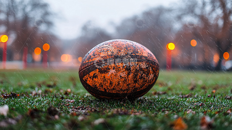 高清大图下载【趣麦麦图】草地上棕色的旧篮球