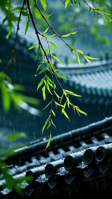 柳树枝条大雨青绿冷调屋檐雨滴