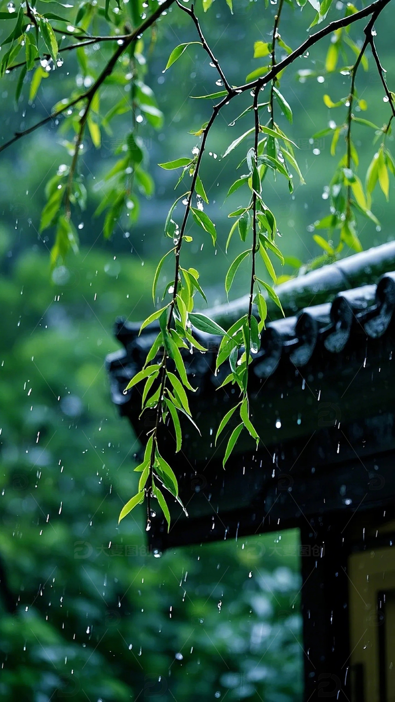 枝条大雨青绿冷调屋檐雨滴