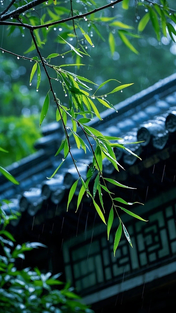 枝条大雨青绿冷调屋檐雨滴1