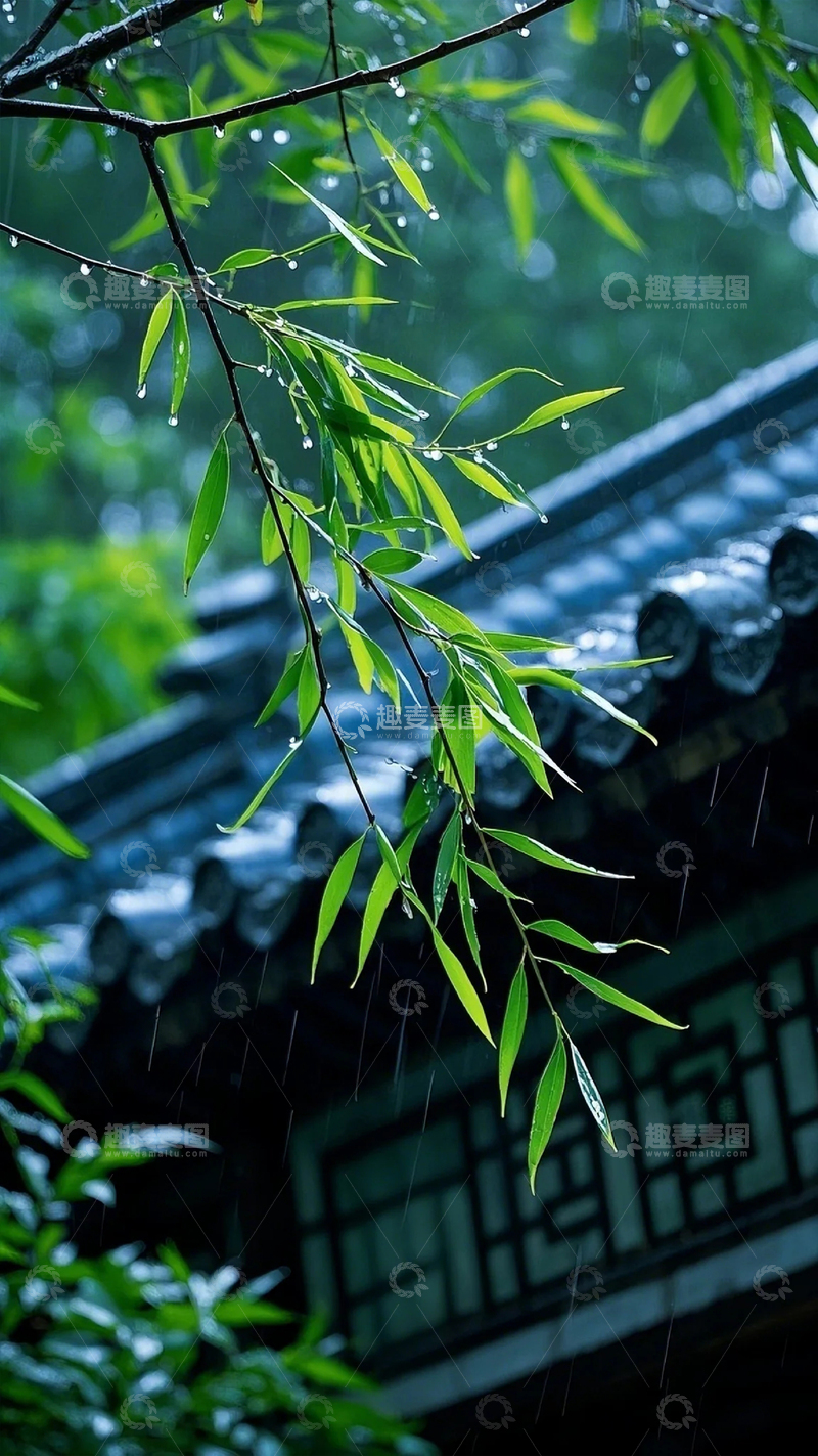 高清大图下载【趣麦麦图】枝条大雨青绿冷调屋檐雨滴1