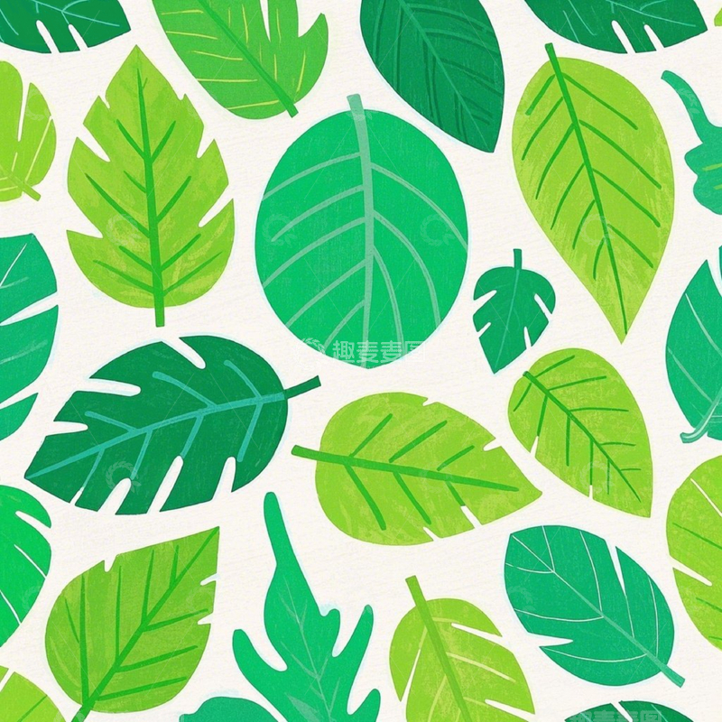 高清大图下载【趣麦麦图】简约叶子素材排版