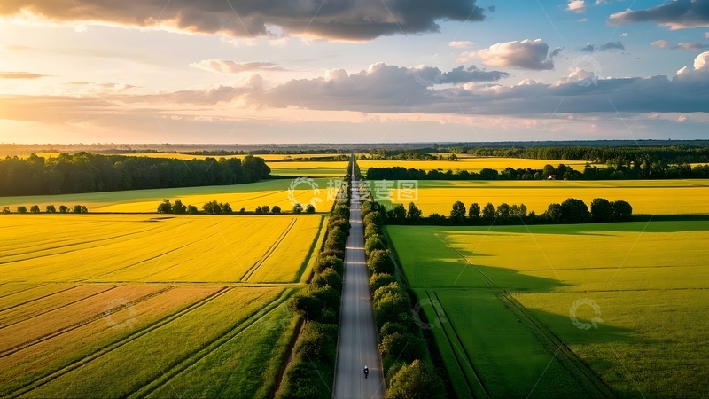 高清大图下载【趣麦麦图】麦田中的笔直公路5