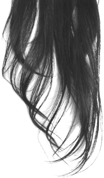 人物精修修图头发素材2