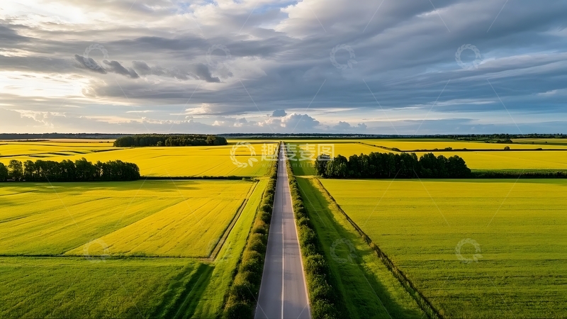 高清大图下载【趣麦麦图】麦田中的笔直公路