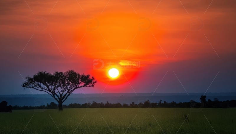 高清大图下载【趣麦麦图】草原树木旁的落日景观