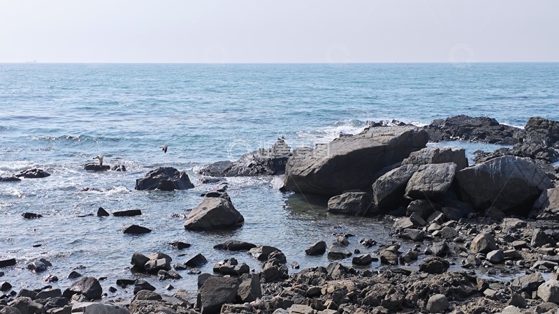 高清大图下载【趣麦麦图】釜山海边摄影3