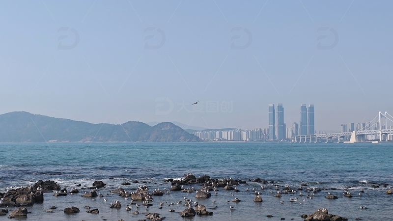 高清大图下载【趣麦麦图】釜山海边摄影4