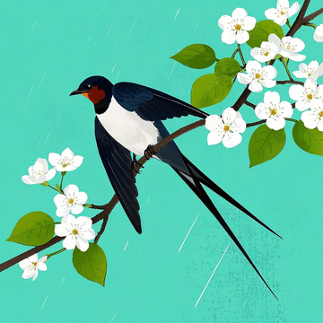 燕子来时新社，梨花落后清明